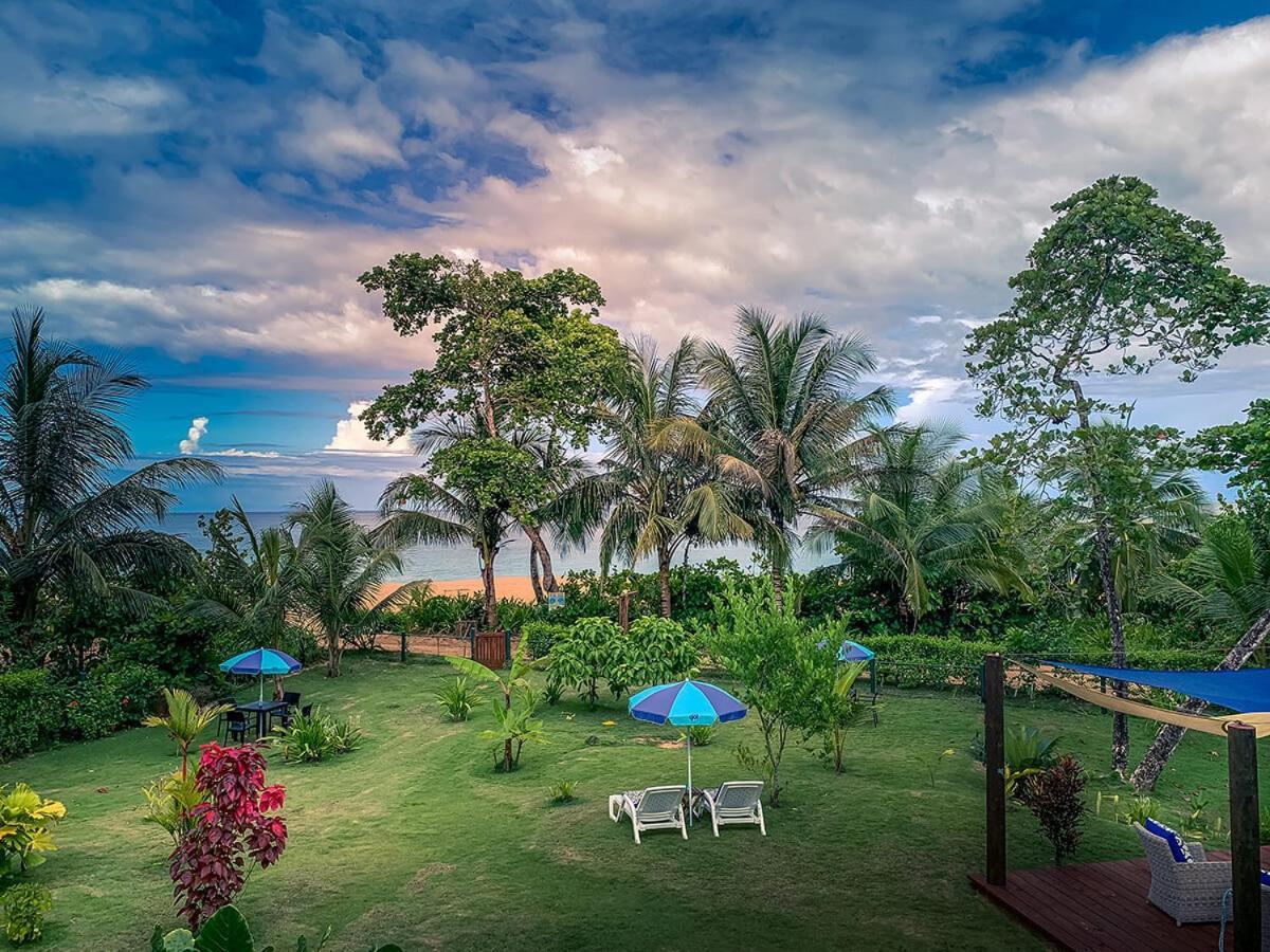 Oasis Bluff Bocas del Toro