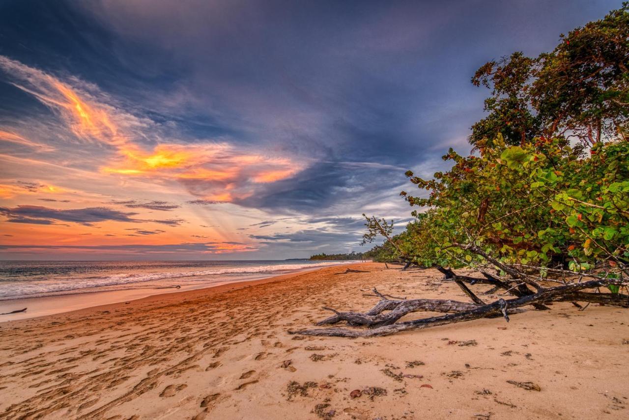 Oasis Bluff 5* Bocas del Toro
