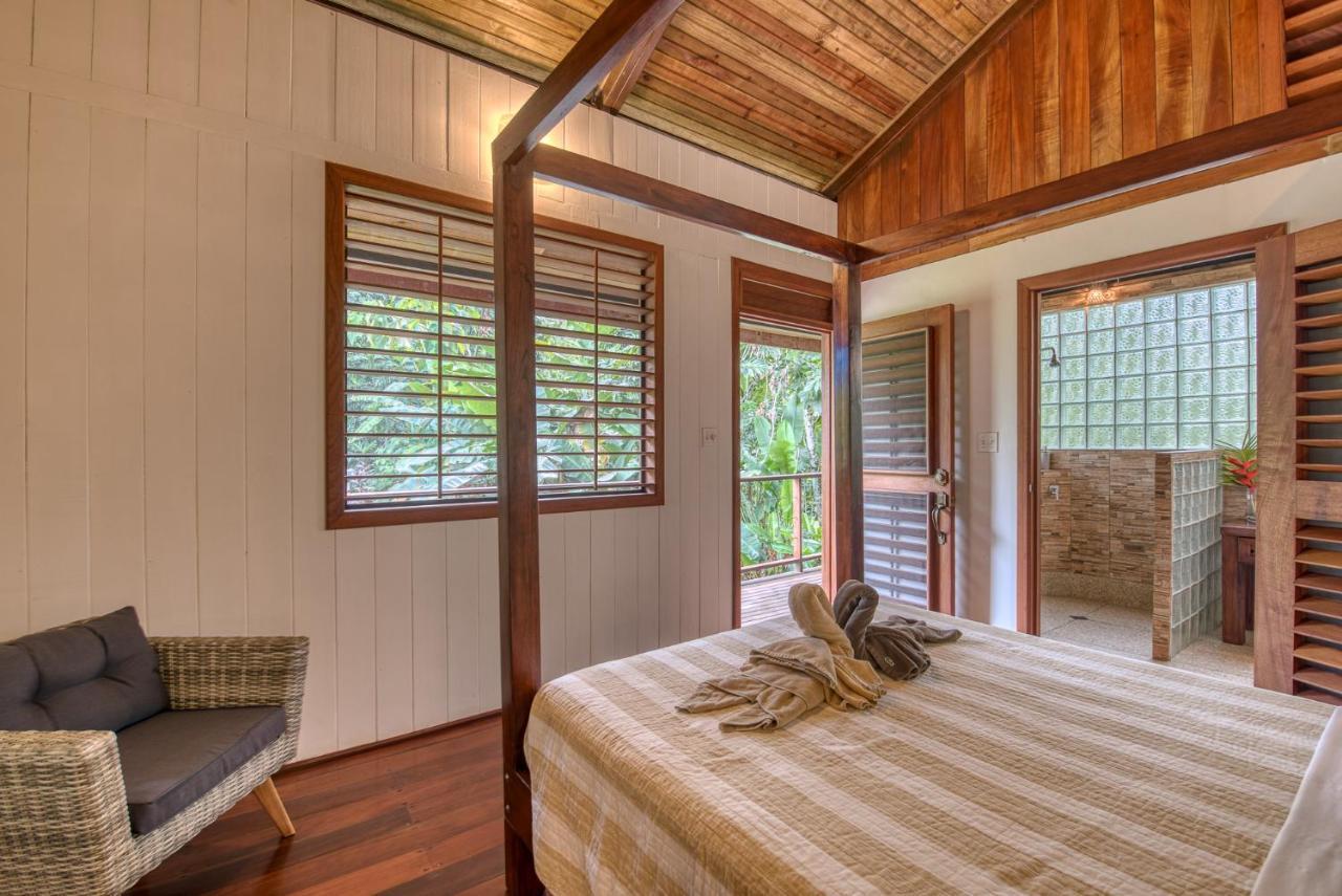 Couette-café Oasis Bluff Bocas del Toro