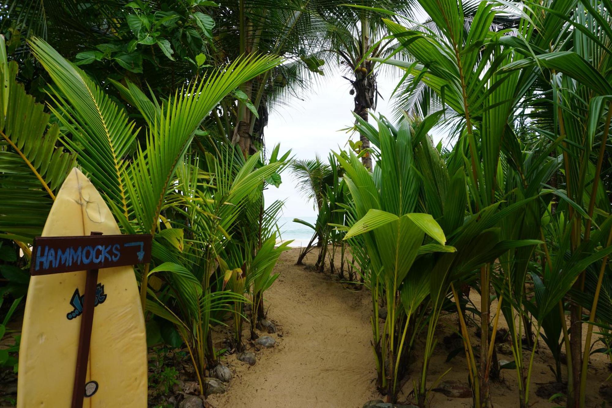 Oasis Bluff