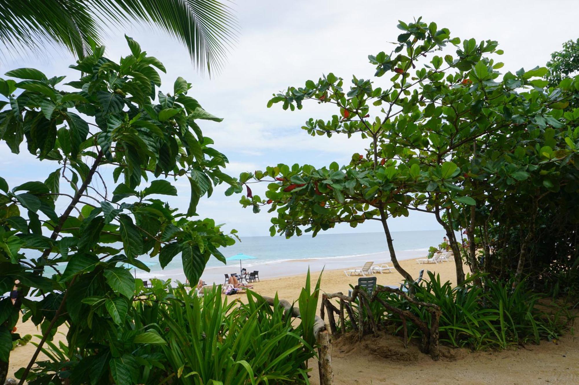 Oasis Bluff Couette-café Bocas del Toro