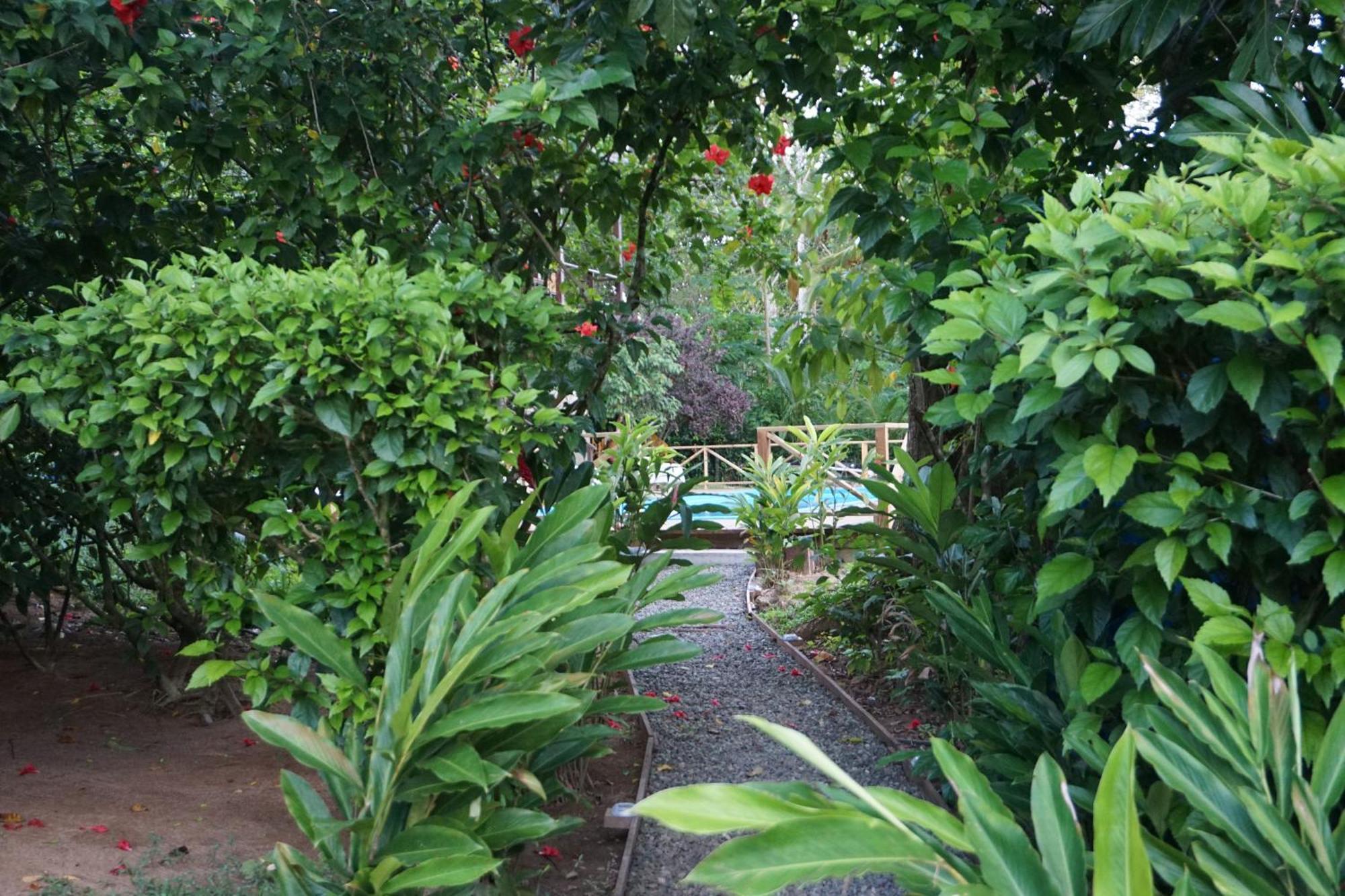 Oasis Bluff Couette-café Bocas del Toro