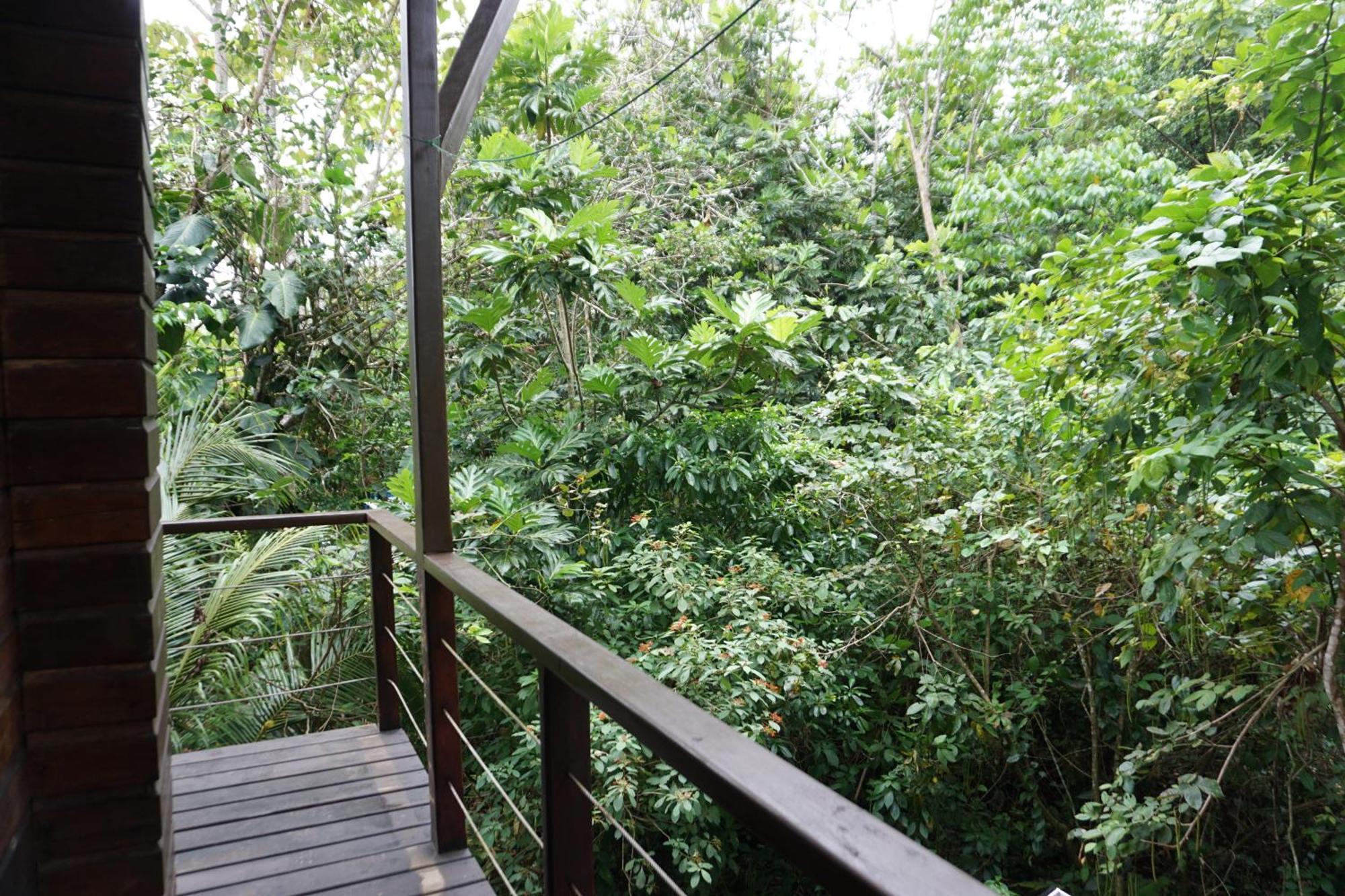 Oasis Bluff Couette-café Bocas del Toro